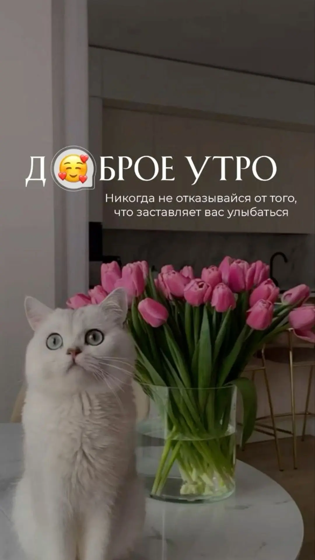 Свободные окошки на 21.04 🧚🏽‍♂️ 

📲Тел/WA: +7-904-556-25-69
📲Тел/WA: +7-911-081-18-38
☎️Тел: 670