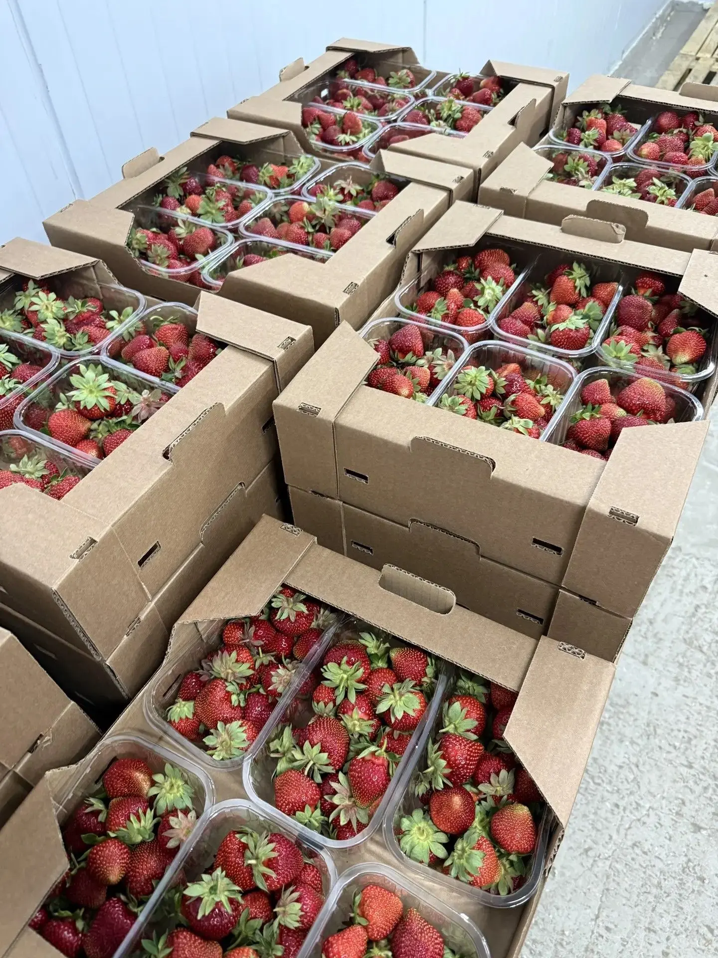Завтра начинаем первую выдачу клубники с открытого грунта 🍓

Сезон начался — ягода есть, её много, 