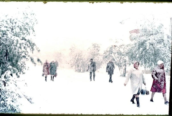 Зима посреди лета. 1977 год ❄️❄️❄️ 

В 1977 году 21 июня случился, пожалуй, самый серьёзный зимний к