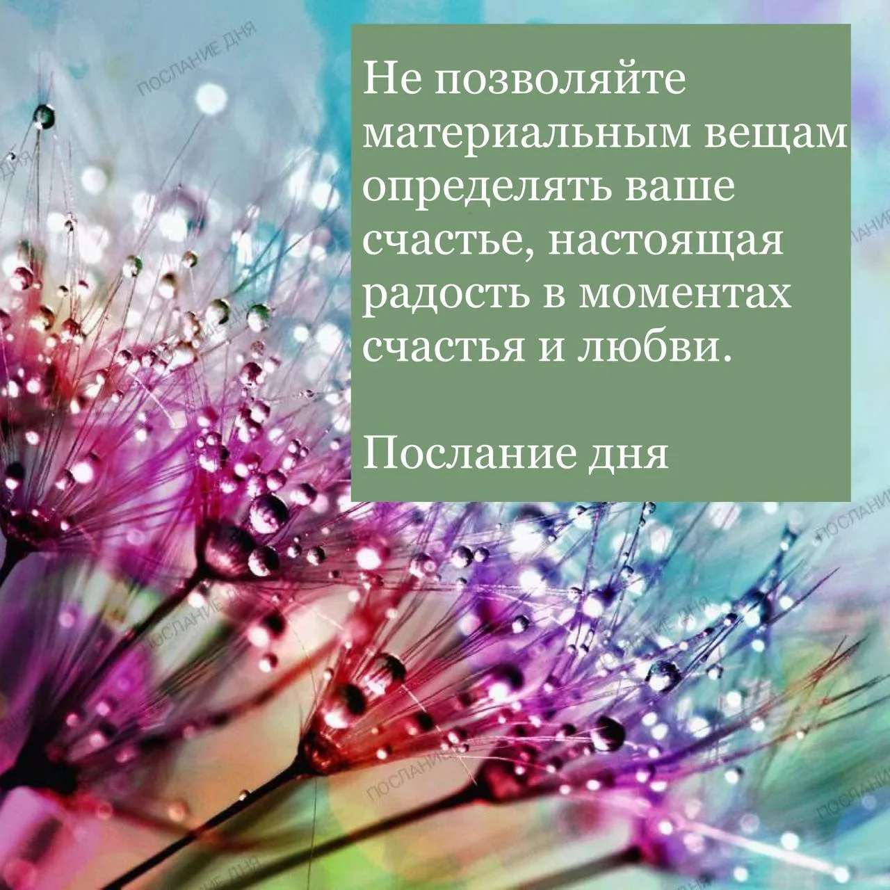 Послание дня