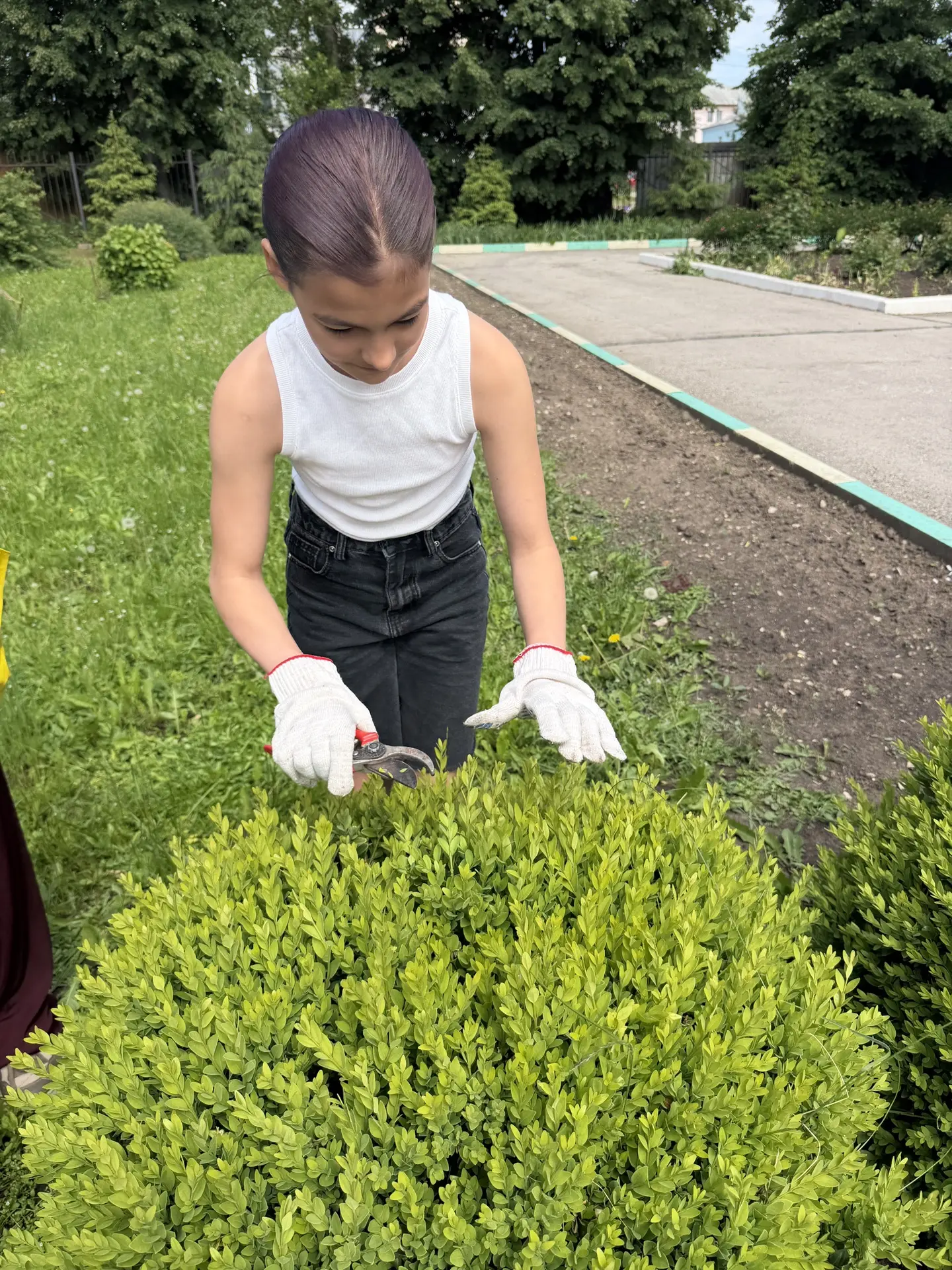🌿 Наши ученики — за чистый поселок!

Обучающиеся нашей школы приняли активное участие во Всероссийс