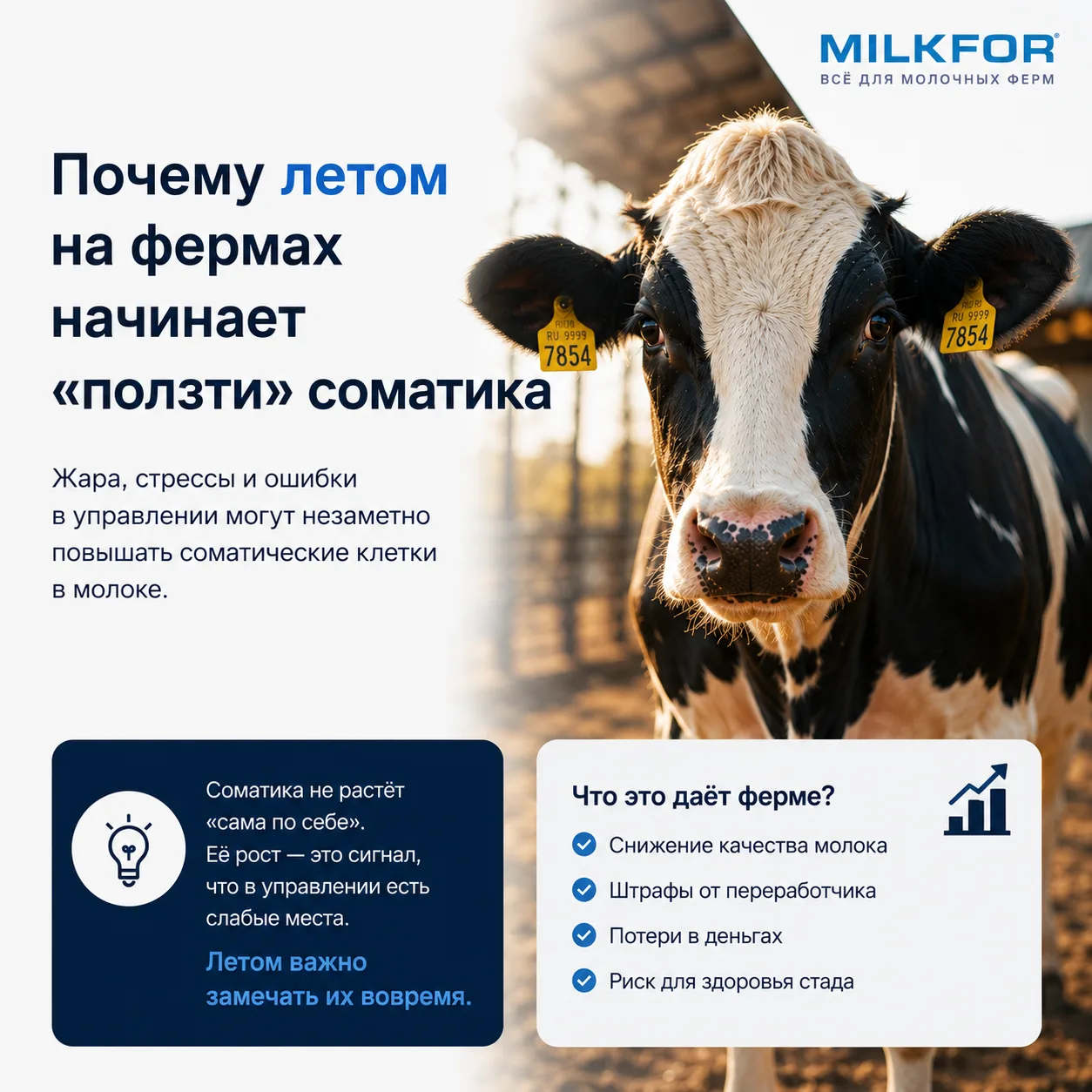 🐄 Почему летом на фермах начинает “ползти” соматика

Летом многие фермы сталкиваются с одной и той 