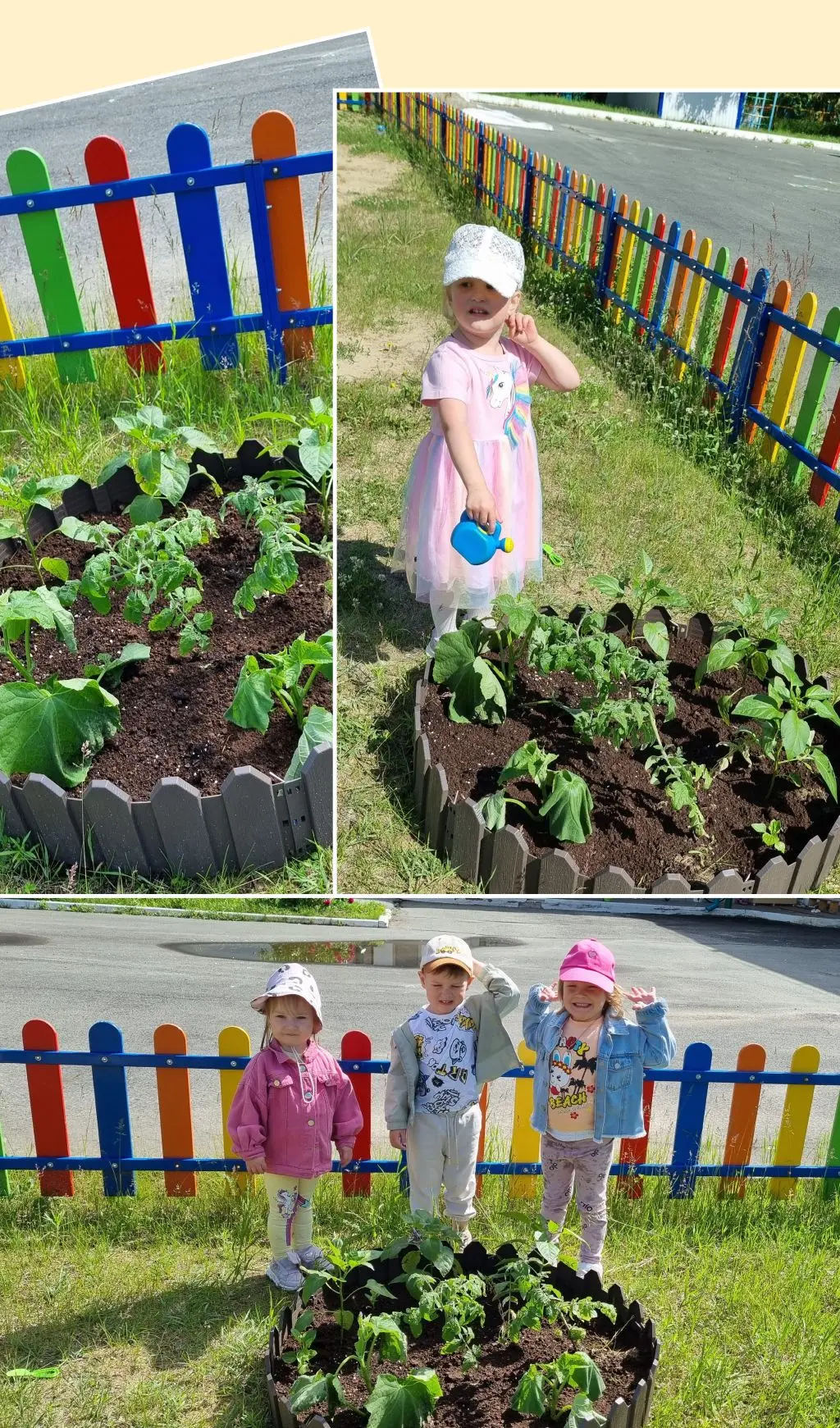 Во саду ли, в огороде... овощи на грядках! 🌱 
В Структурном подразделении Каменской СОШ на площадке