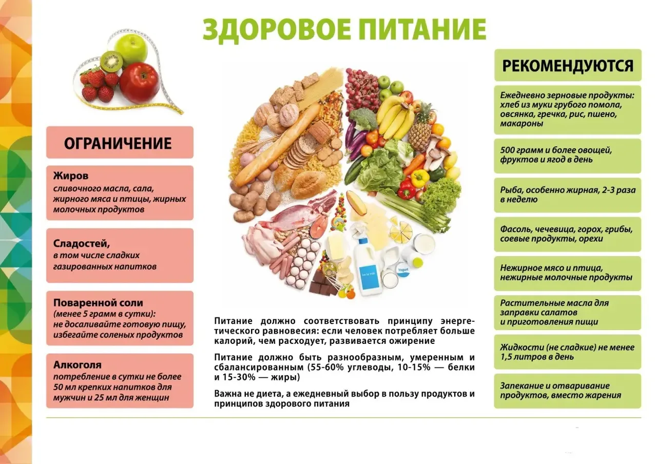 Здоровое питание: простые правила для ежедневного выбора 🍏

Лето — отличное время, чтобы пересмотре