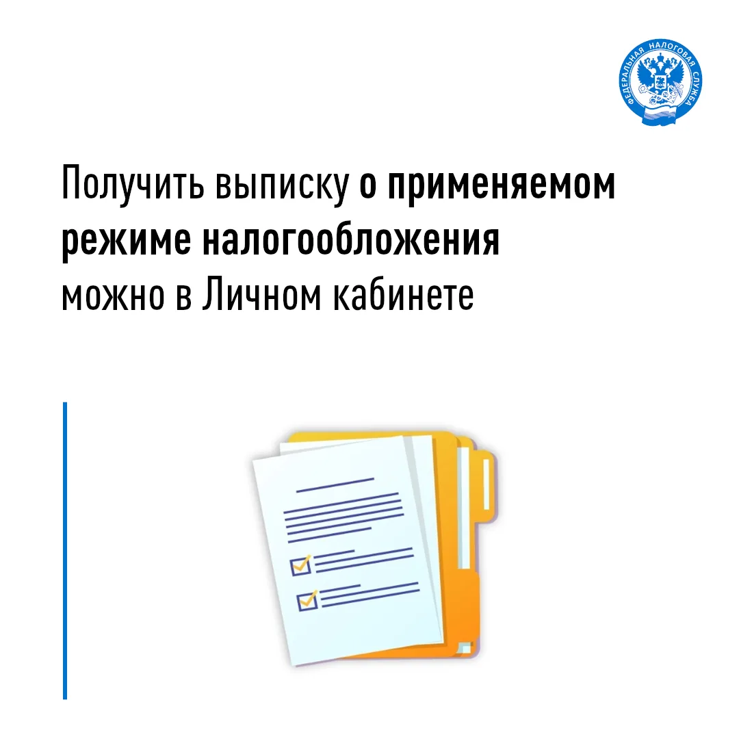 Выписку о режиме налогообложения можно получить в личном кабинете

📌 Возможность получения выписки 
