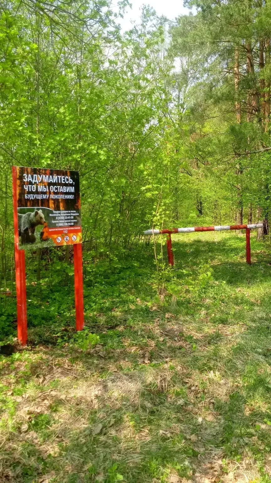 🌲В Ковылкинском территориальном лесничестве установлены шлагбаумы для обеспечения пожарной безопасн