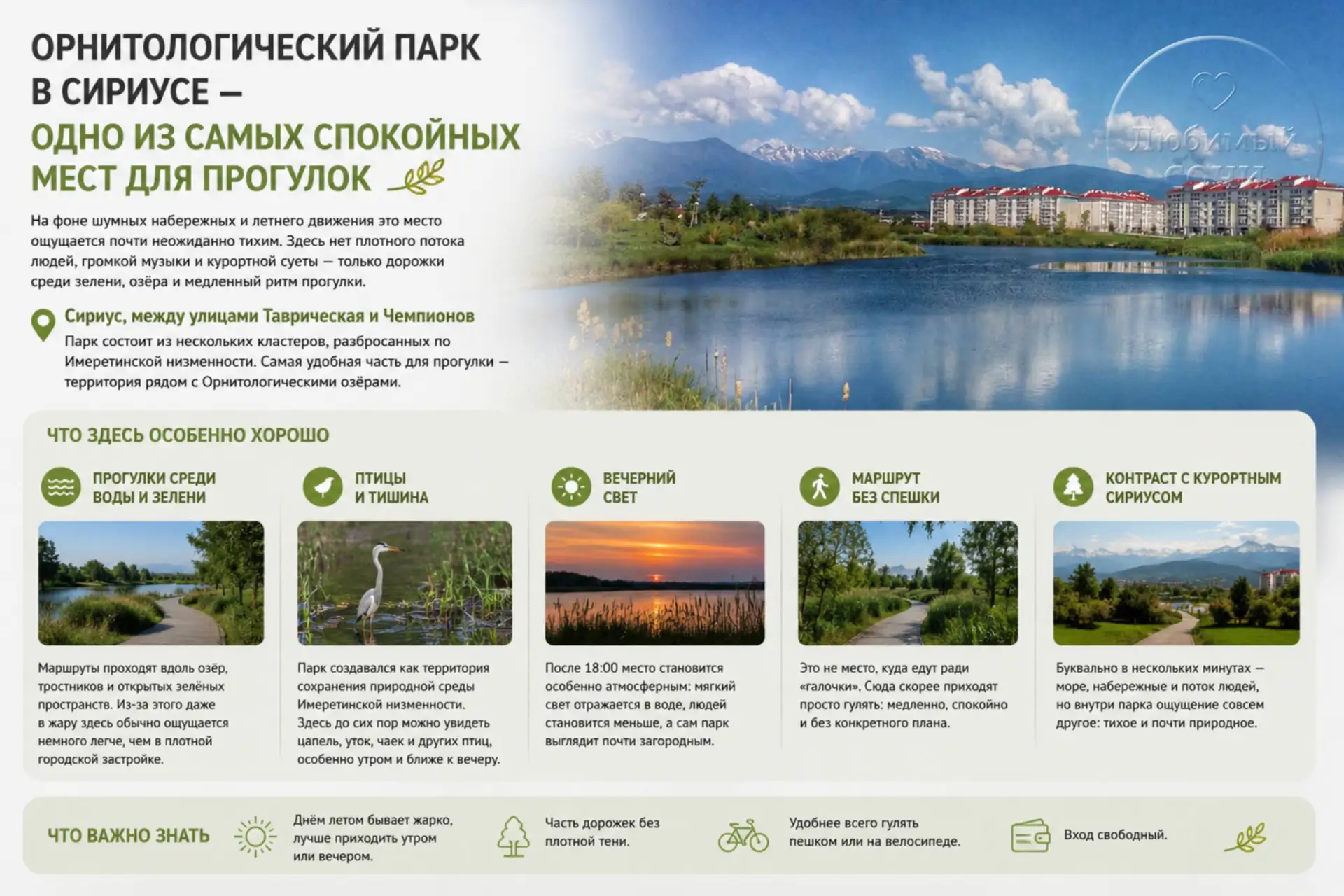 Орнитологический парк в Сириусе — одно из самых спокойных мест для прогулок 

На фоне шумных набереж