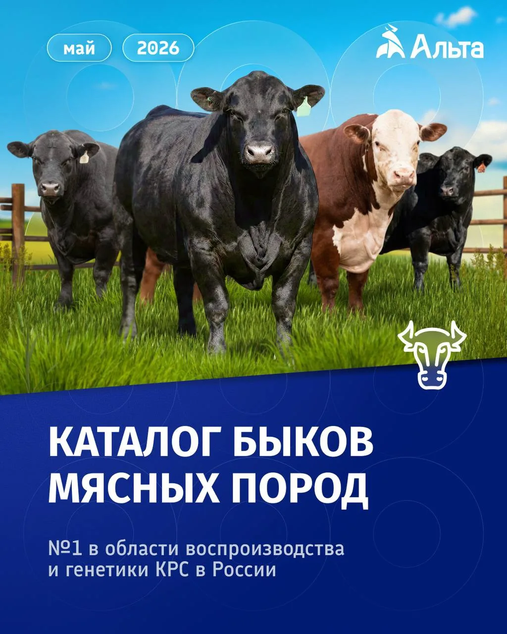 🐂 Обновленный каталог мясных пород ‘Альта’ уже доступен на нашем сайте

В каталоге собраны быки мяс