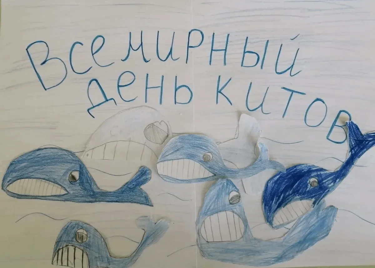🌊🐋19 февраля - Всемирный день кита!🐋🌊

Знаете ли вы, что в этот день весь мир празднует этих уди