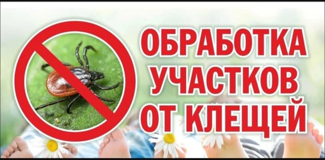 ⚠️ Важное объявление для родителей!

Сегодня после 15:00 будет проводиться обработка территории детс