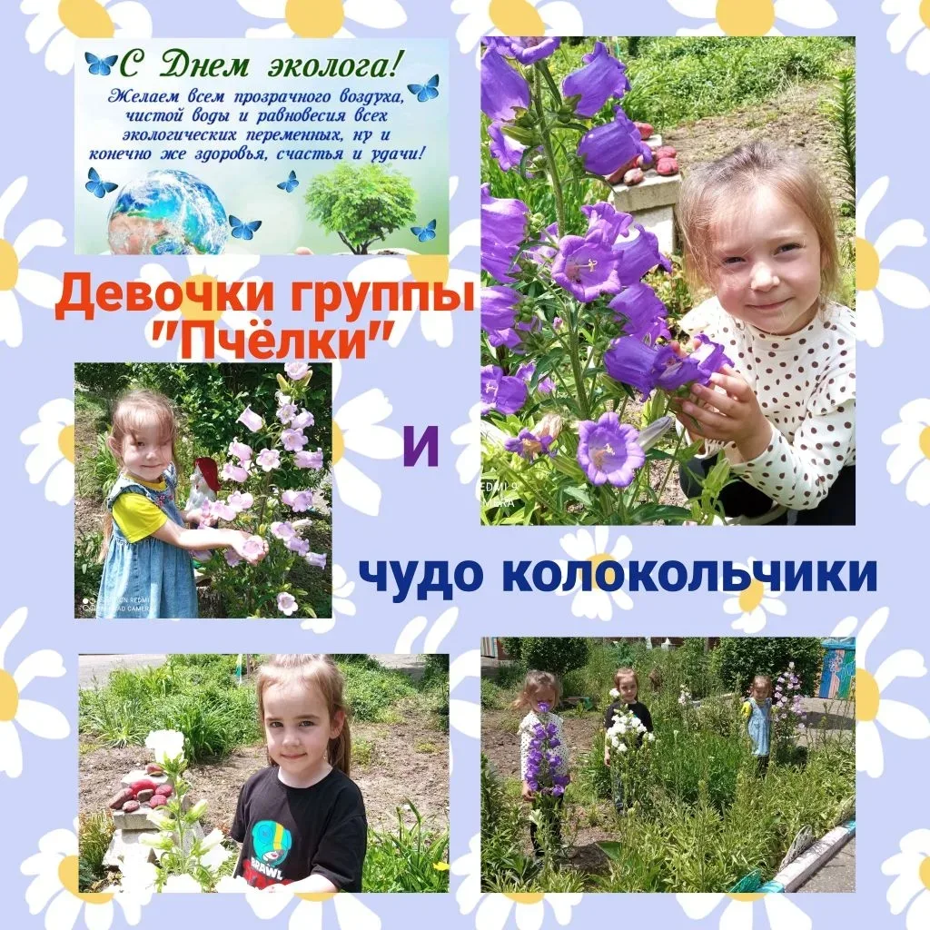 Девочки средней группы "Пчёлки"  вырастили чудо-колокольчики ко Дню эколога, который отмечается 5 ию
