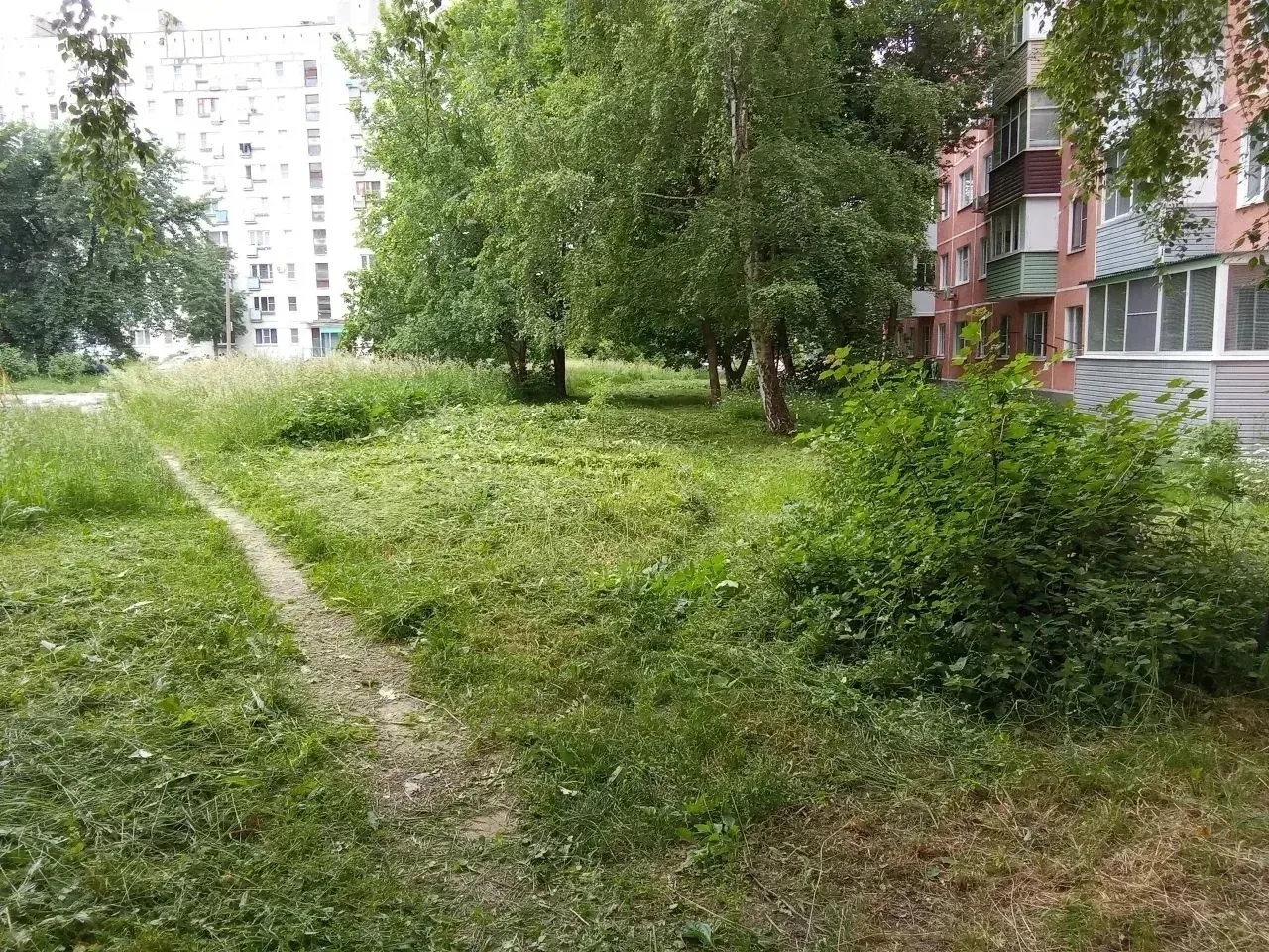 🌿Покосили траву по адресу ул. Тимакова, 8к1
