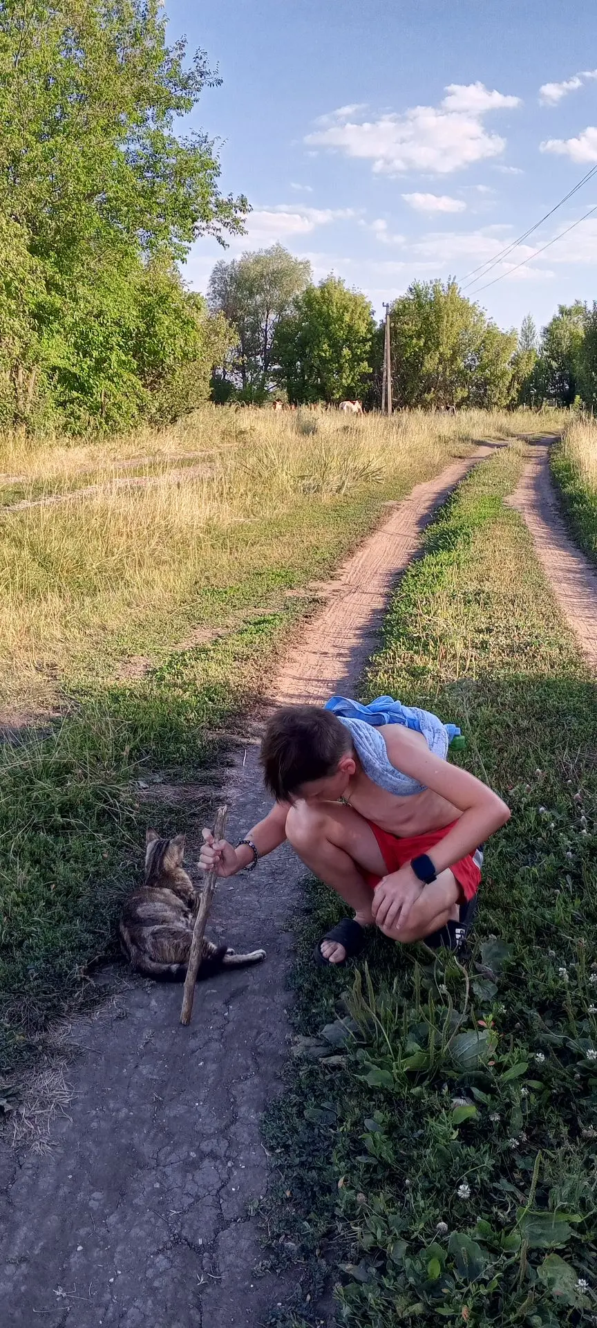 Ждем когда выпустят коров и изучаем муравьев 🐜