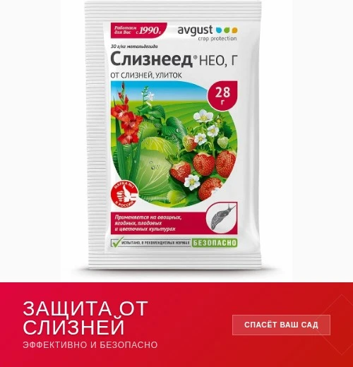 Борьба со слизнями в Алёнином саду ❤️

Привет, друзья! В этом году слизни пока не так активны, но эт