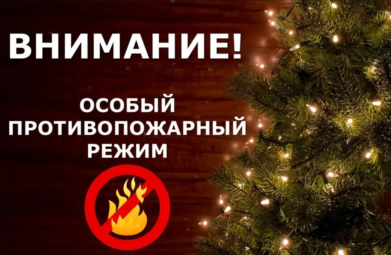 ⚠ С 31 декабря 2025 по 11 января 2026 года в Башкортостане вводится особый противопожарный режим. Це