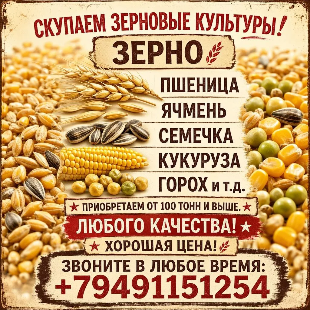 Готовы выкупить ваш урожай!🧾

Скупаем зерновые культуры оптом:

пшеница;🌾
ячмень;
кукуруза;🌽 
гор