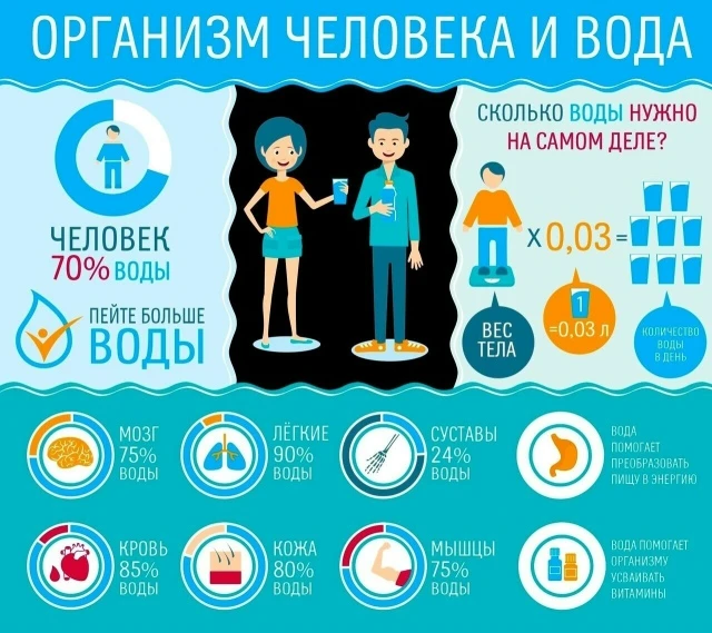 Вода несет огромную пользу для организма.
Вода — основа жизни, составляющая большую часть массы тела