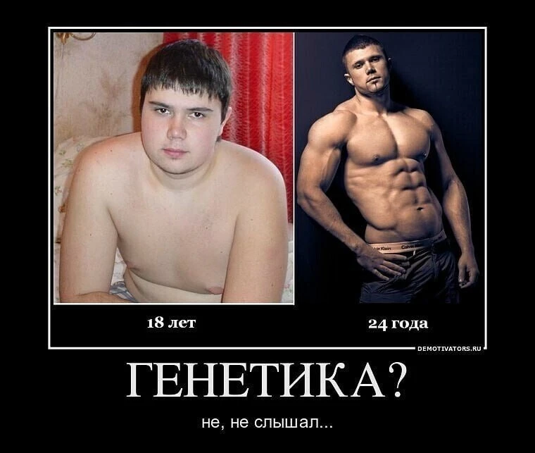 Правда ли, что в нашей жизни всё решают гены и мы не можем на неё повлиять?

Считается, что гены наш