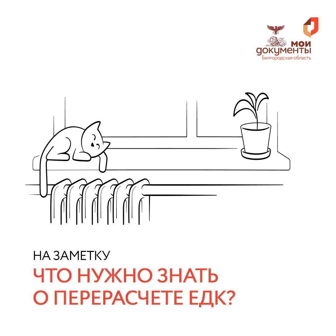 Что нужно знать о перерасчете ЕДК? 💡

ЕДК (ежемесячная денежная компенсация) — мера социальной подд