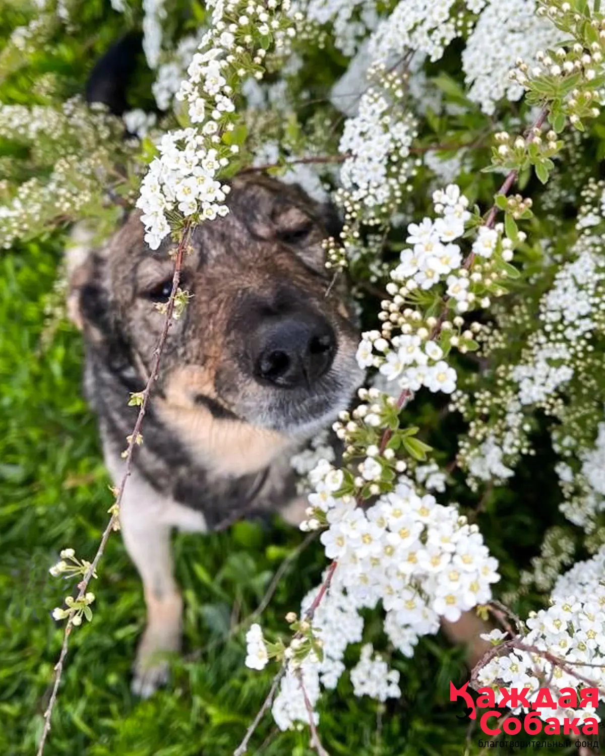Наши новости 🌸 

Май был богат разнообразием не только в погоде, но и событиями в нашем центре «Кус