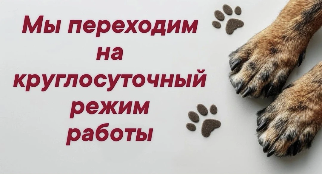 🐾 СРОЧНАЯ НОВОСТЬ ДЛЯ ВСЕХ ВЛАДЕЛЬЦЕВ ПИТОМЦЕВ! 🐾

🚨С 8 июня 2026 года наша ветеринарная клиника 