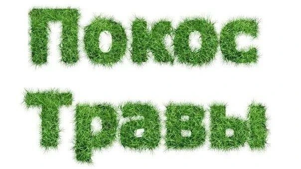 Профессиональный покос травы бензокосой🍀. Цены: до колена — 350 р./сотка, до пояса — 500 р./сотка, 