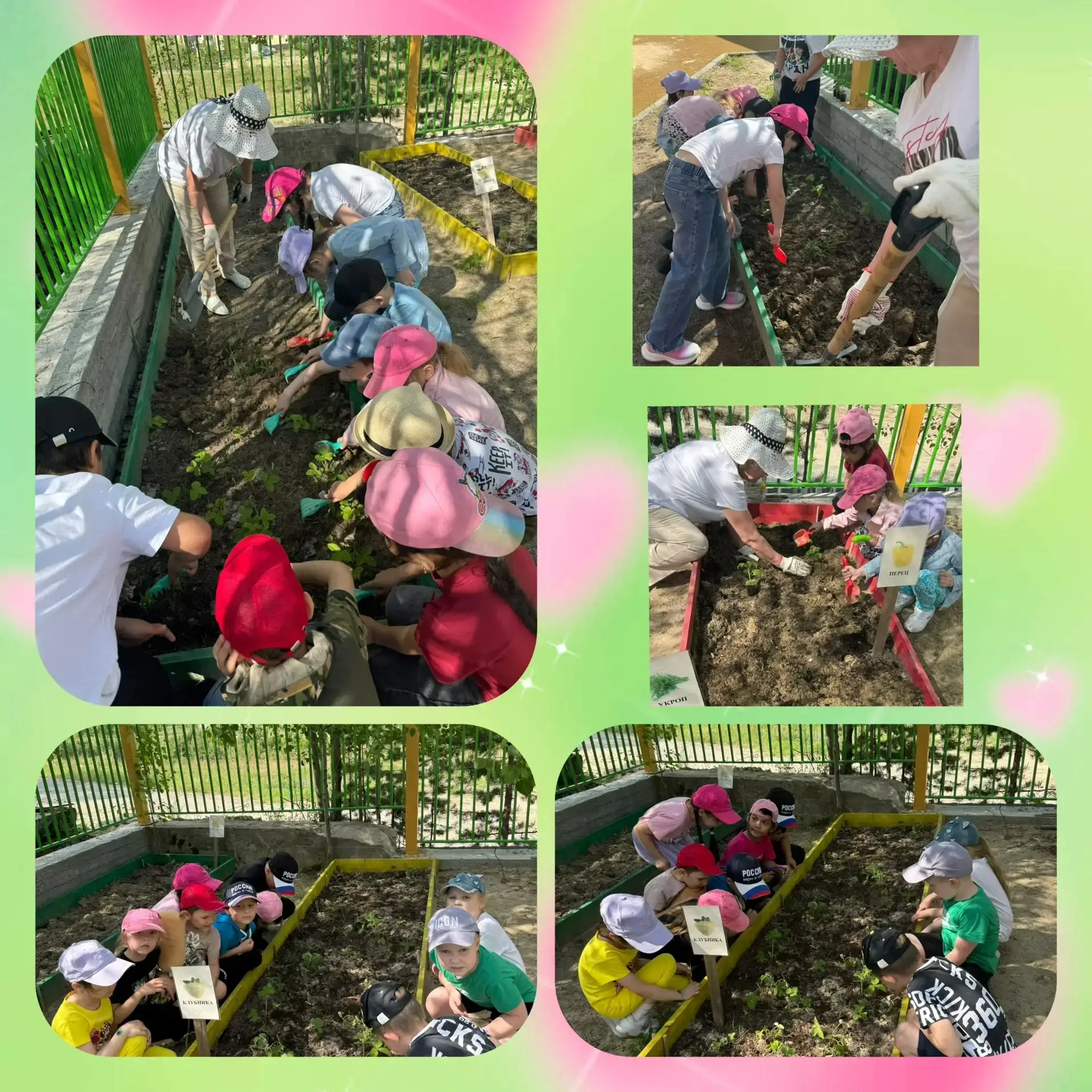 ☀ Наконец-то и у нас в городе наступило лето!👍
 🌿 В нашем детском саду, как и во многих других, ес