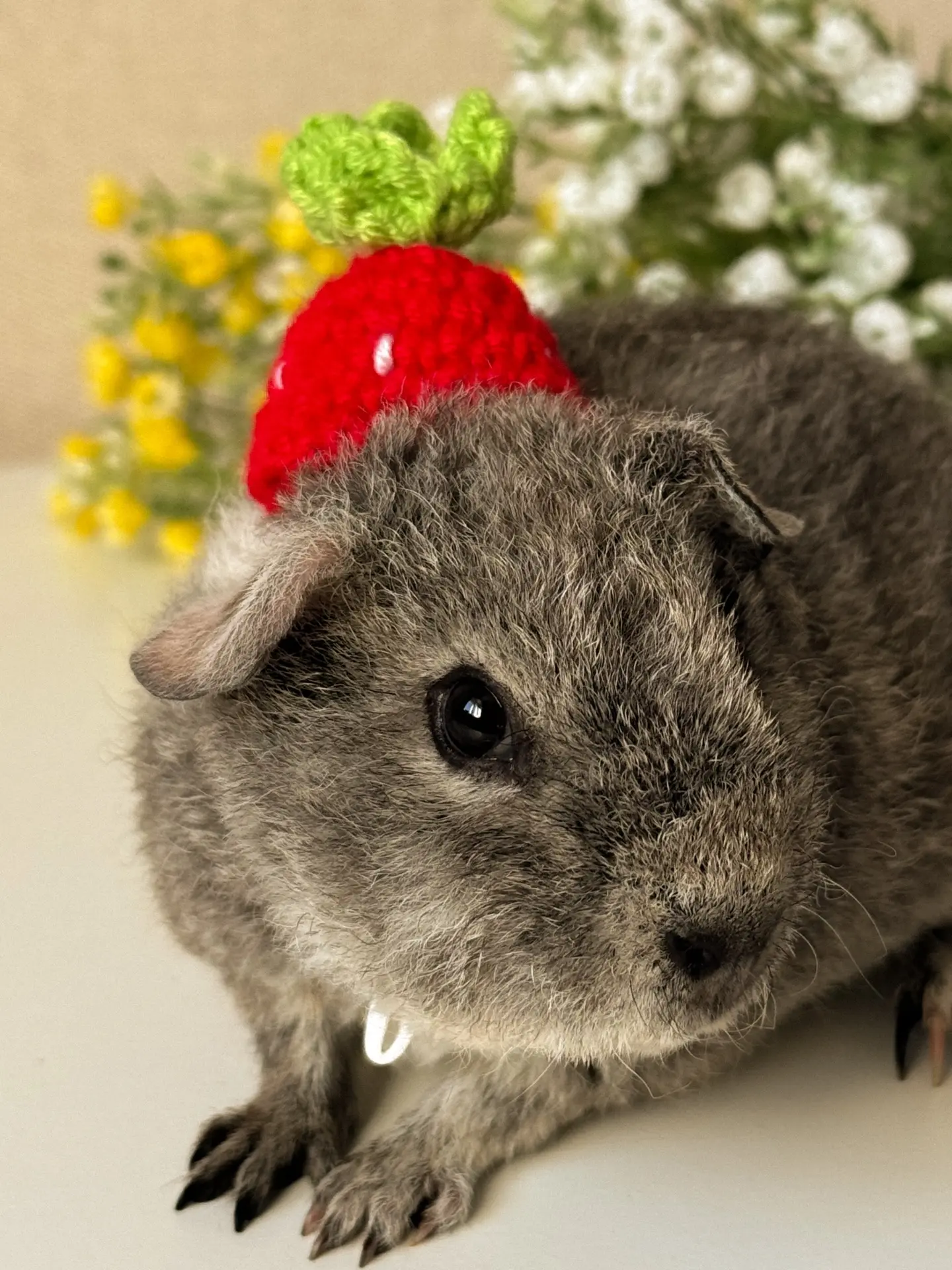 Фото-привет вам от нашего свиночки-корзиночки! 🍓

• С прошедшим днём защиты детей! Пусть наших малы