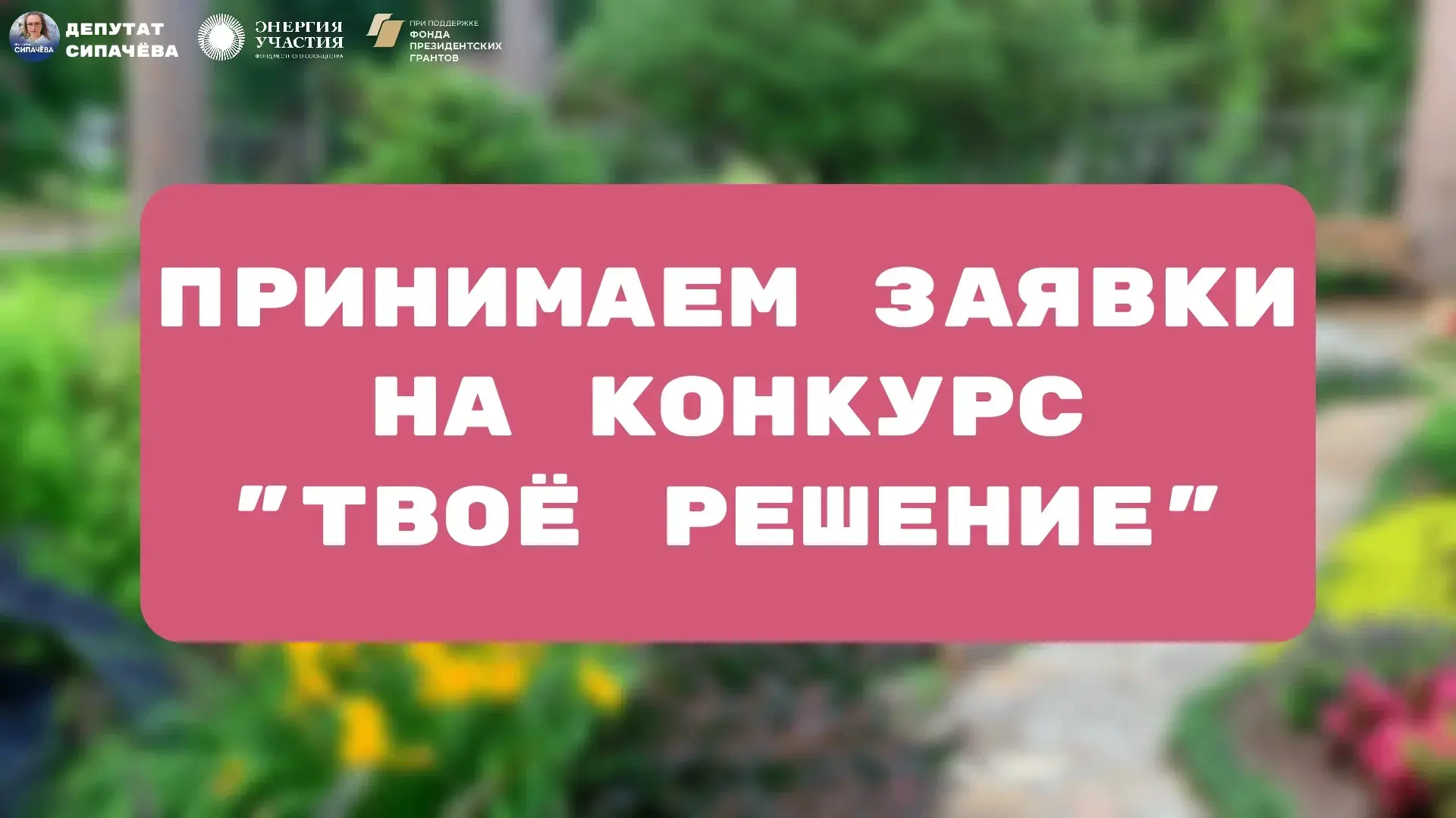 Знаете, я часто хожу по дворам, встречаюсь с жителями, и постоянно слышу одно и то же: «Вероника, у 