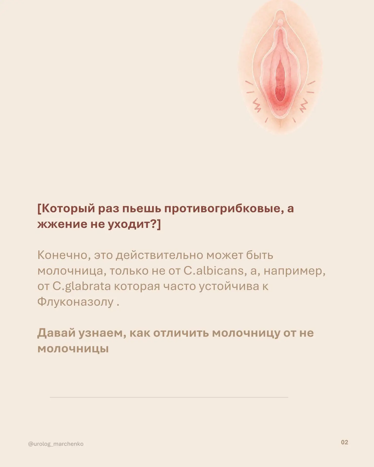 Полезный пост ПРО МОЛОЧНИЦУ для все девушек ♥️
