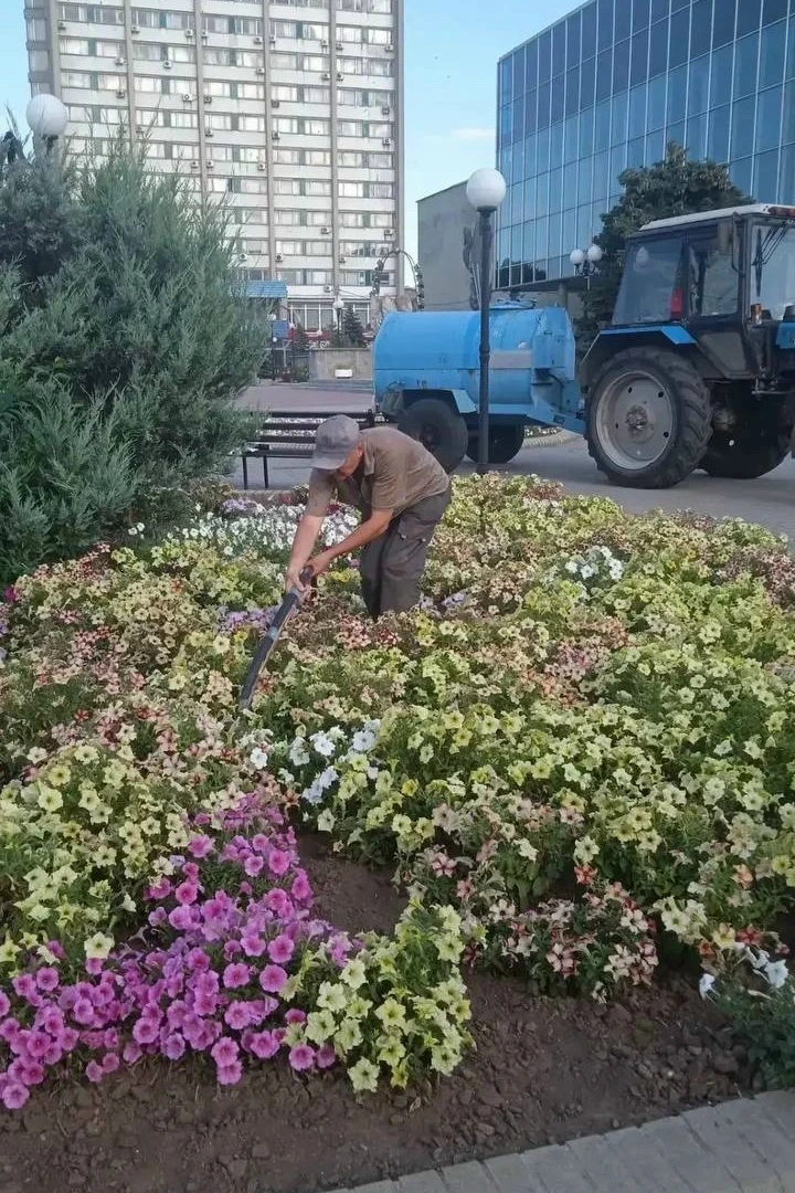 Переслано: Запорожье

🌿 «Зеленхоз» заботится о красоте Бердянска!

На этой неделе команда МБУ «Зеле
