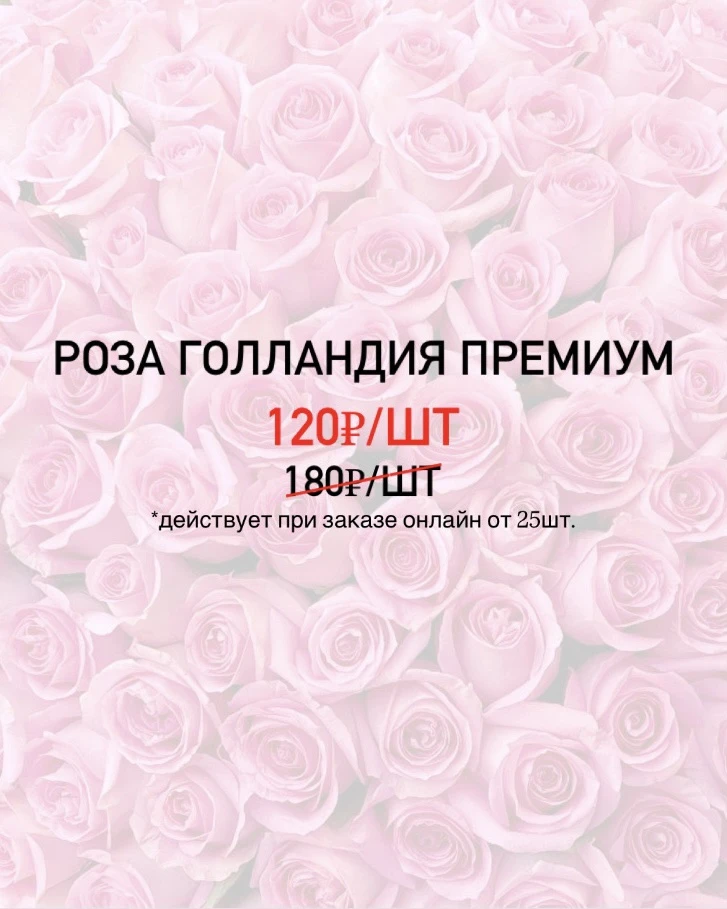 СПЕЦИАЛЬНОЕ ПРЕДЛОЖЕНИЕ!

Выбирайте совершенство: поставка роз из Голландии!🩷

Коротко о главном:
✨
