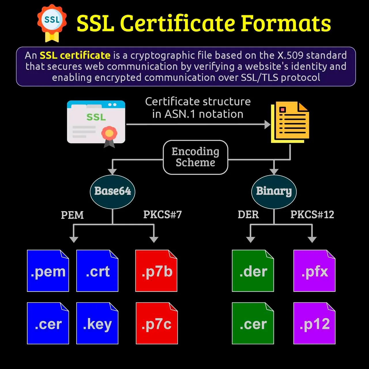 Существуют различные форматы сертификатов SSL для удовлетворения конкретных потребностей различных с