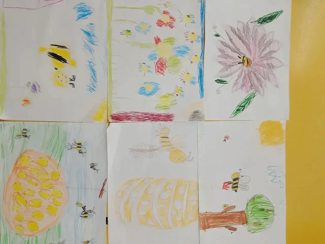 🐝 Удивительный мир насекомых — вместе с Экоцентром «Кузьминки»!

Наши дошколята продолжают знакомит