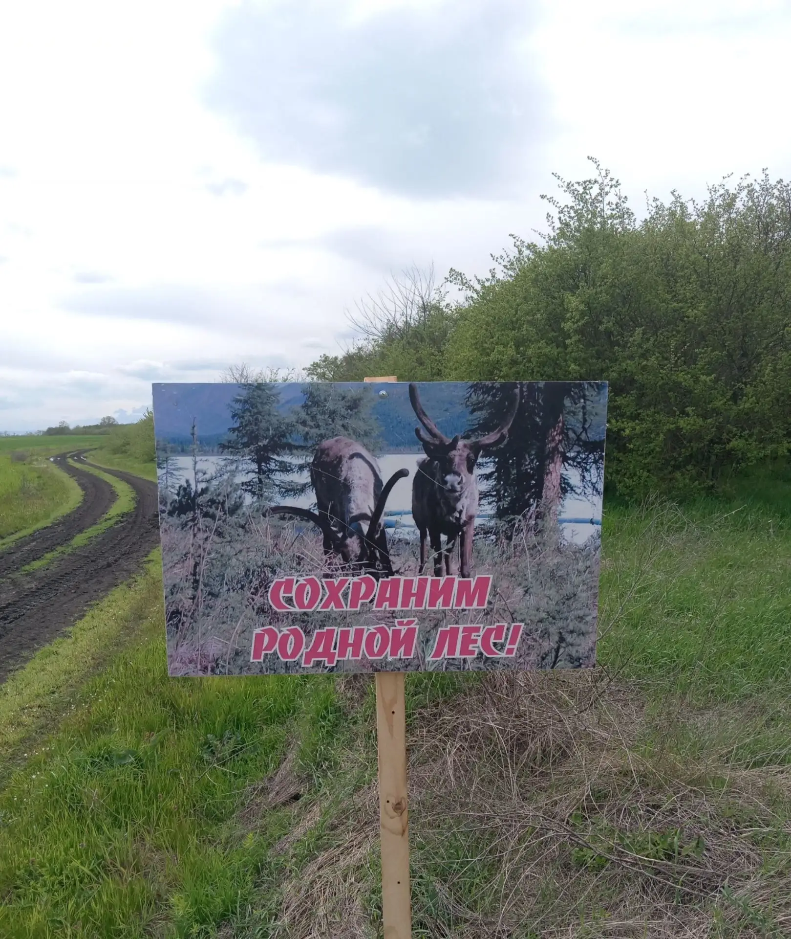 САУ РА «Адыгейская лесопожарная охрана» проводит мероприятия по осуществлению мер пожарной безопасно