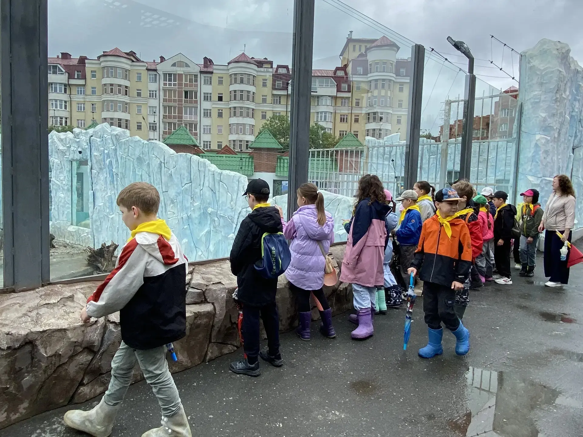 НОВОСТИ ЛАГЕРЯ:
Сегодня ребята посетили Екатеринбургский зоопарк. Экскурсия  получилась интересной и
