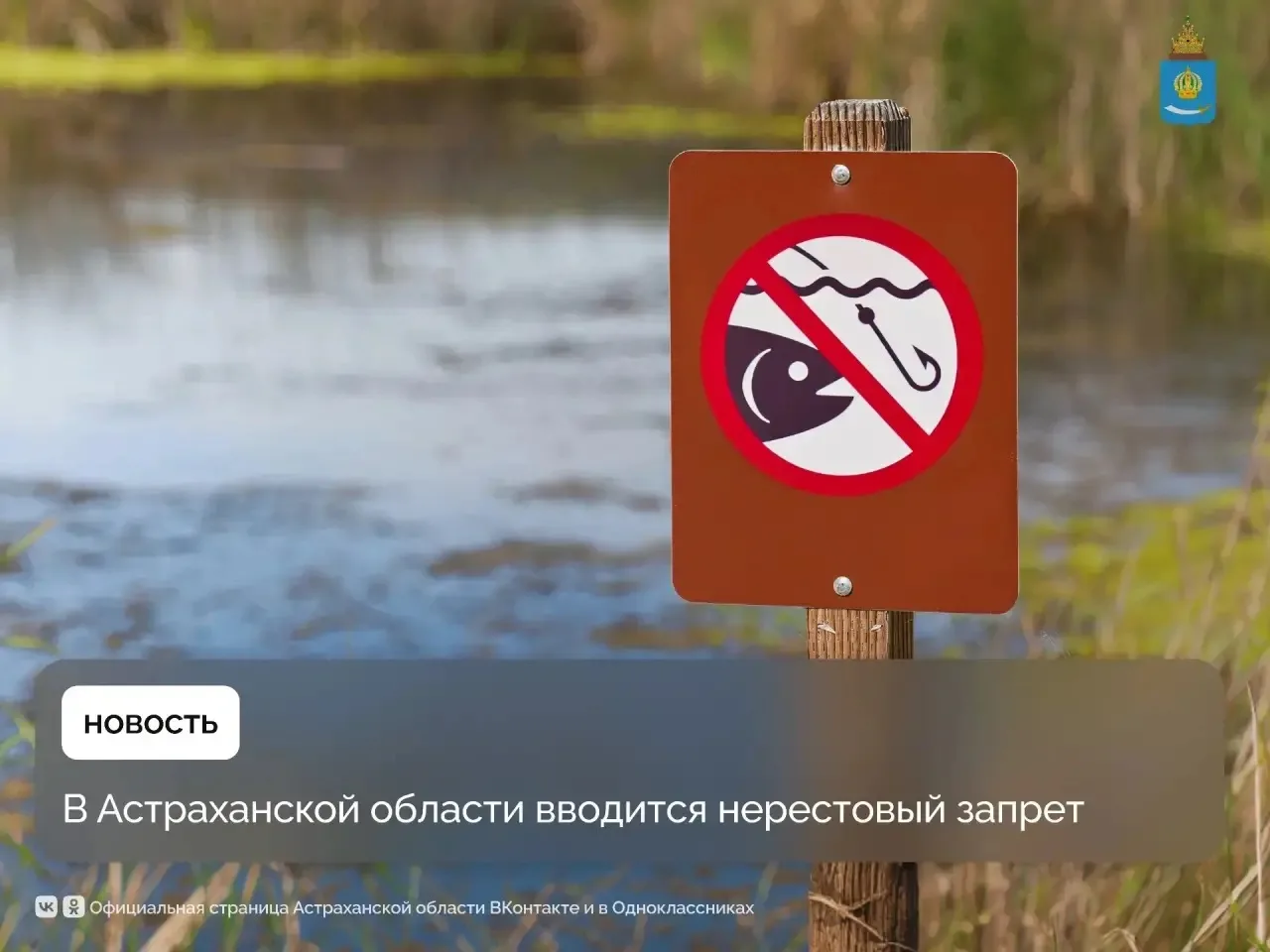 Ограничения будут действовать с 16 мая до 20 июня. Это касается и любительского, и промышленного рыб