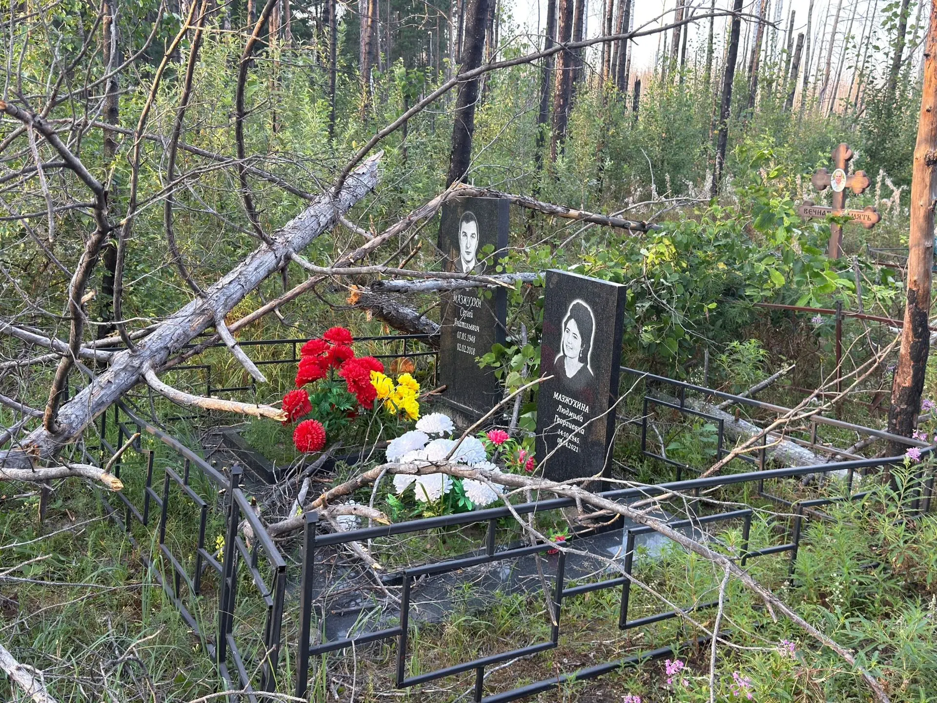 У кого родственники похоронены на кладбище Чистопрудное, съездите проверьте могилы

Много могил пост