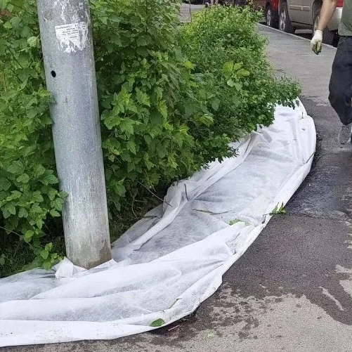 Дайджест за неделю

2️⃣3️⃣ — 2️⃣9️⃣ мая

Лесной Городок

➡️ ул. Молодежная 
🔸 посадили новый газон 