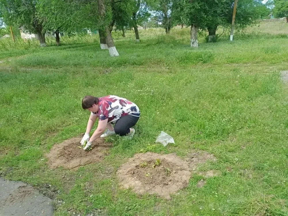 В преддверии Дня России в рамках реализации Всероссийской акции «#РодинойГоржусь», приуроченной к пр