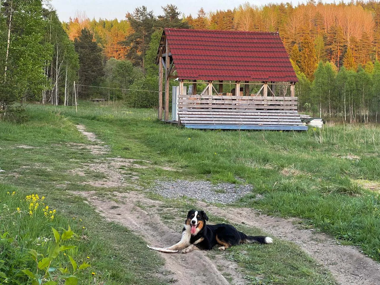 Хотите провести время с пользой на природе?

До 22 июня мы приглашаем волонтеров на 2-7 дней, чтоб п