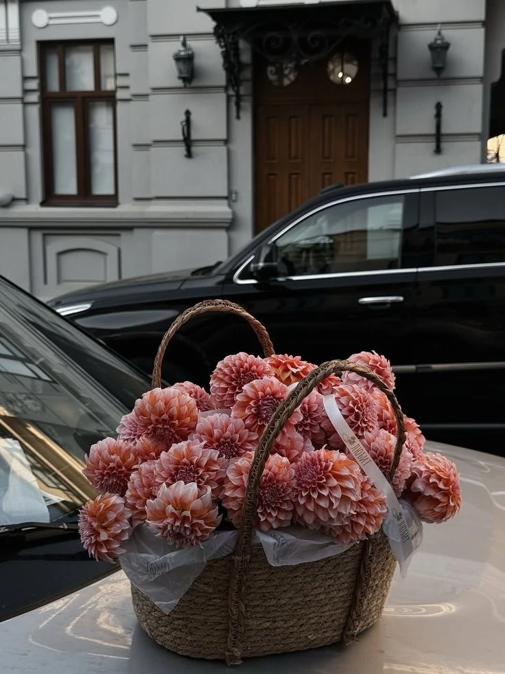 Финансовая свобода 🌸

♡ возможность купить цветы себе без повода
♡ свой доход, дающий право выбора
