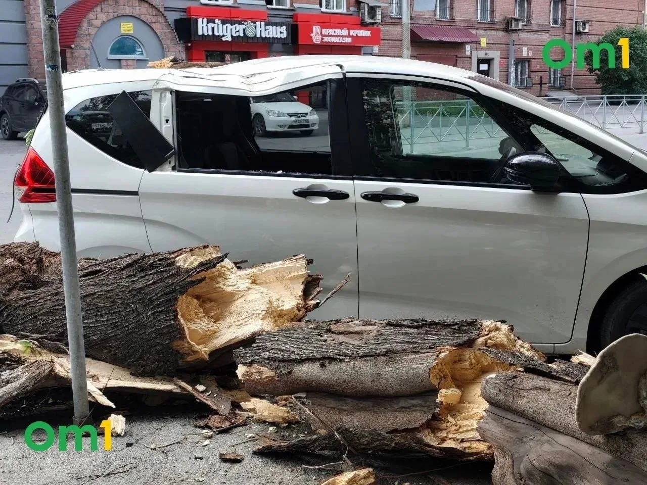 В центре Новосибирска на улице Крылова, 55, дерево обрушилось на припаркованный автомобиль

Инцидент