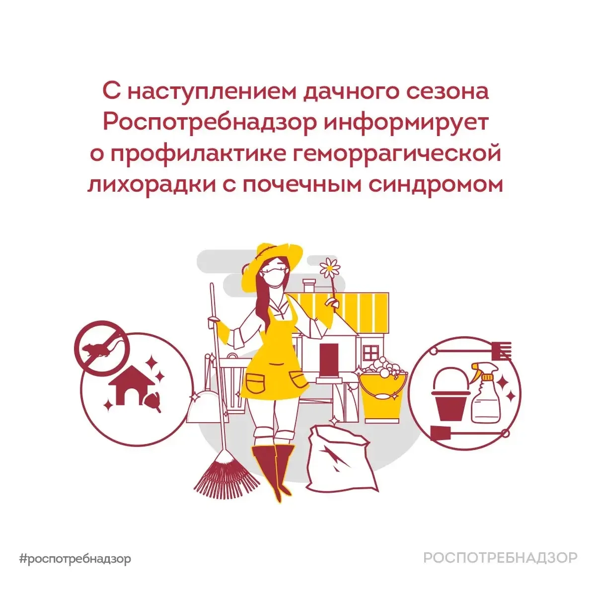 🐁 С наступлением дачного сезона Роспотребнадзор информирует о том, как обезопасить себя от геморраг