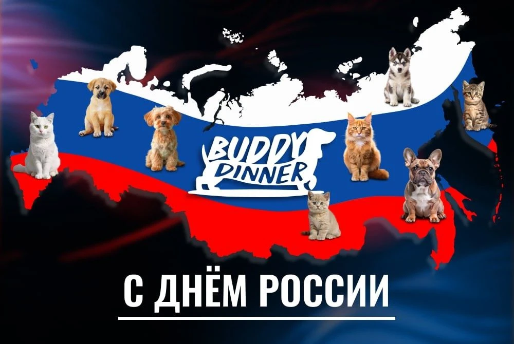 🇷🇺 С Днём России, друзья!

Поздравляем всех подписчиков и их хвостатых любимцев с этим праздником!