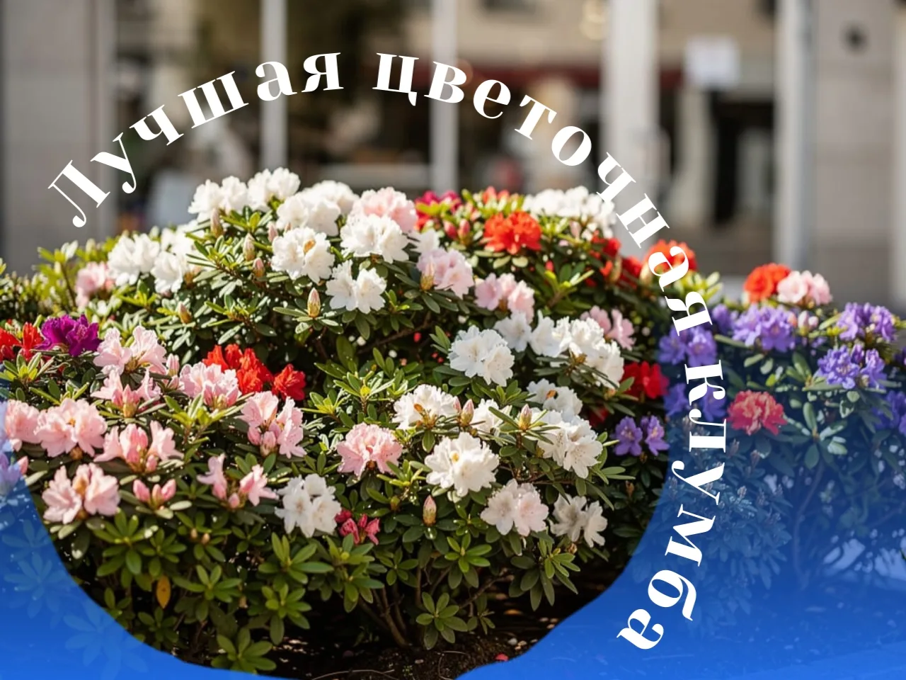 Внимание, предприниматели Новокузнецка!

С 22 июня по 15 июля стартует конкурс «Лучшая цветочная клу