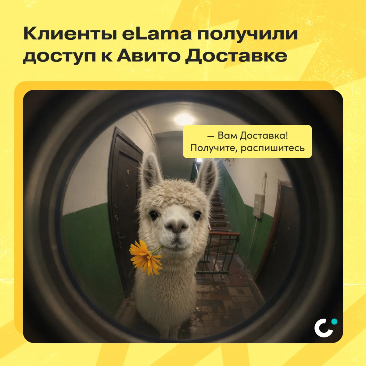 📍Клиенты eLama получили доступ к Авито Доставке: [контакт скрыт]