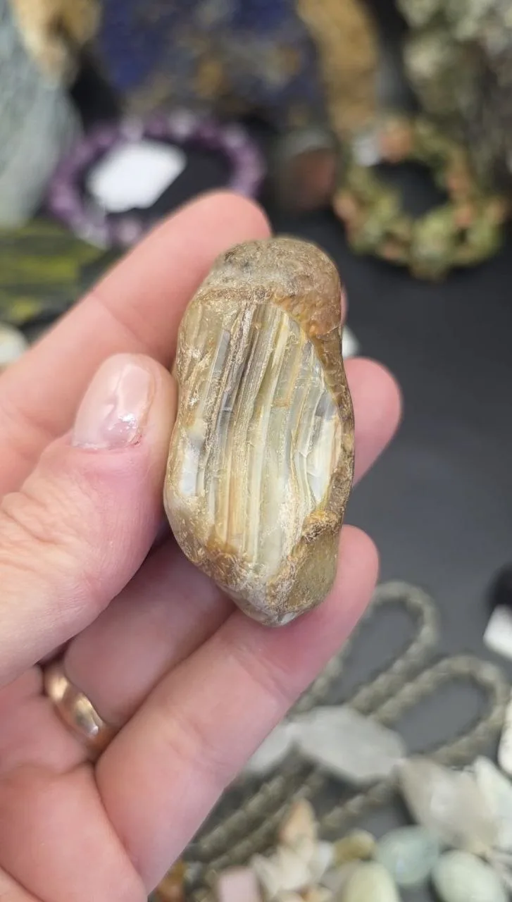 Сердоликовый оникс, нашенький, Кузнецкий Алатау, без обработки.
5,2*3см, 300р
