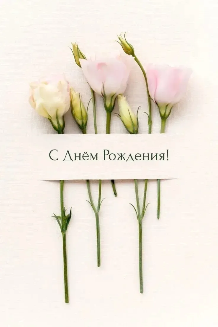 Дорогая наша первая учительница, наша Неля Фаритовна!
От всего сердца поздравляем Вас с днём рождени