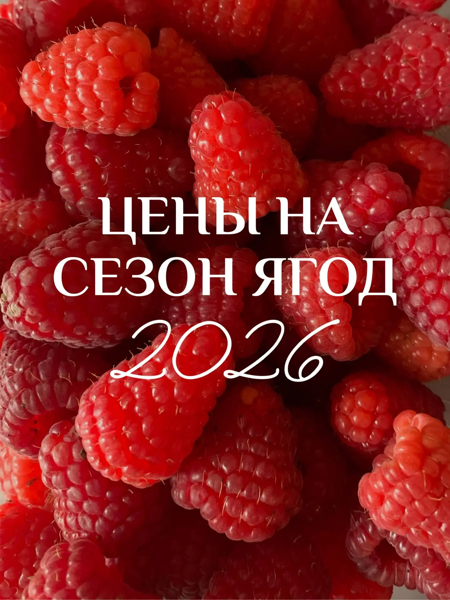 Здравствуйте!
Публикуем 
ЦЕНЫ НА СЕЗОН 2026 ГОД
‼️ Клубника летняя отборная (коробка 4 контейнера об